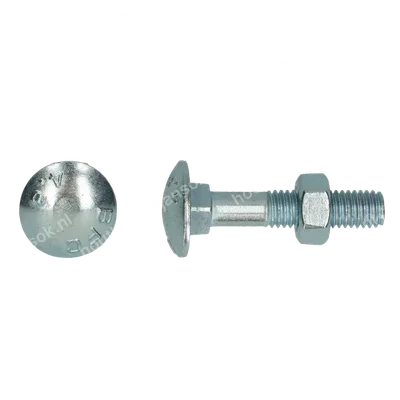 Slotbouten M10x300 mm verzinkt – doos 25 stuks incl. moeren