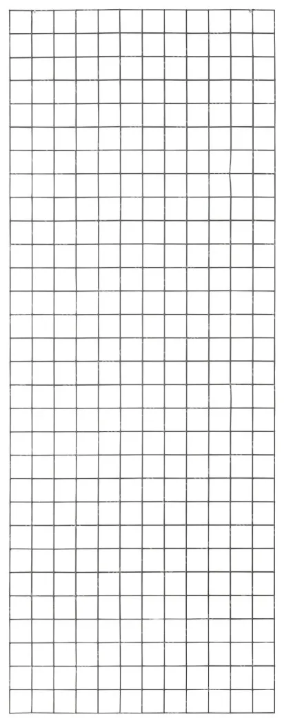 60x180cm Verzinkt Gaasnet | Maas 5x5cm | 4mm (0,60m)