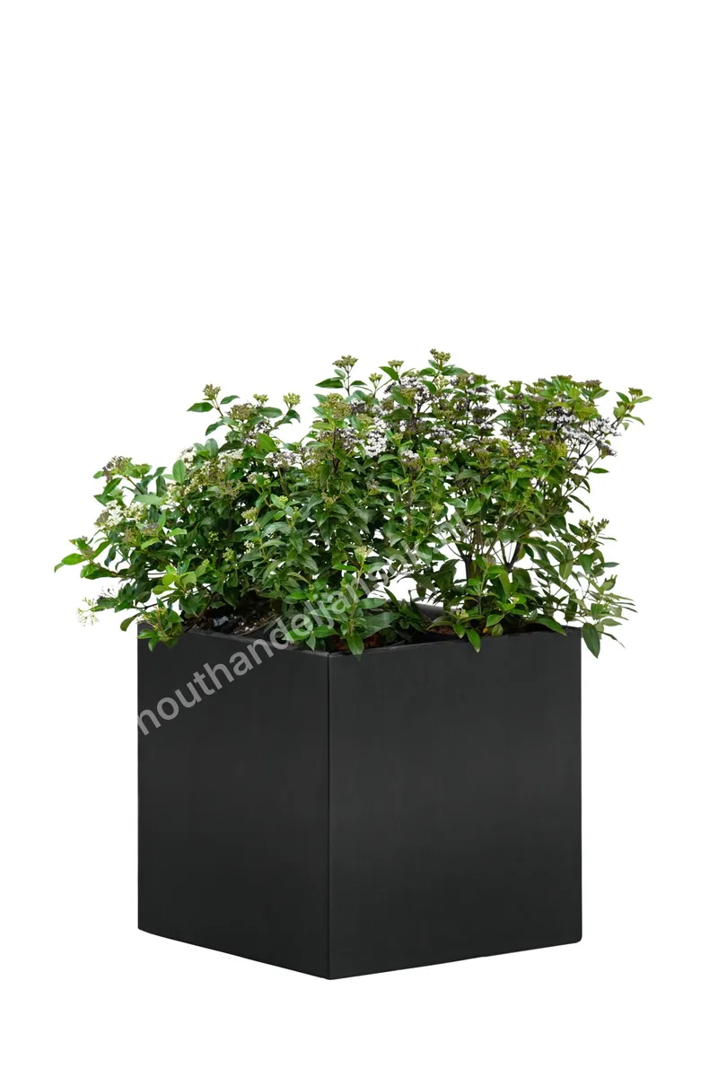 Mohawk Pflanzkübel aus Schwarz Pulverbeschichtetem Stahl 50 x 90 x 50 cm
