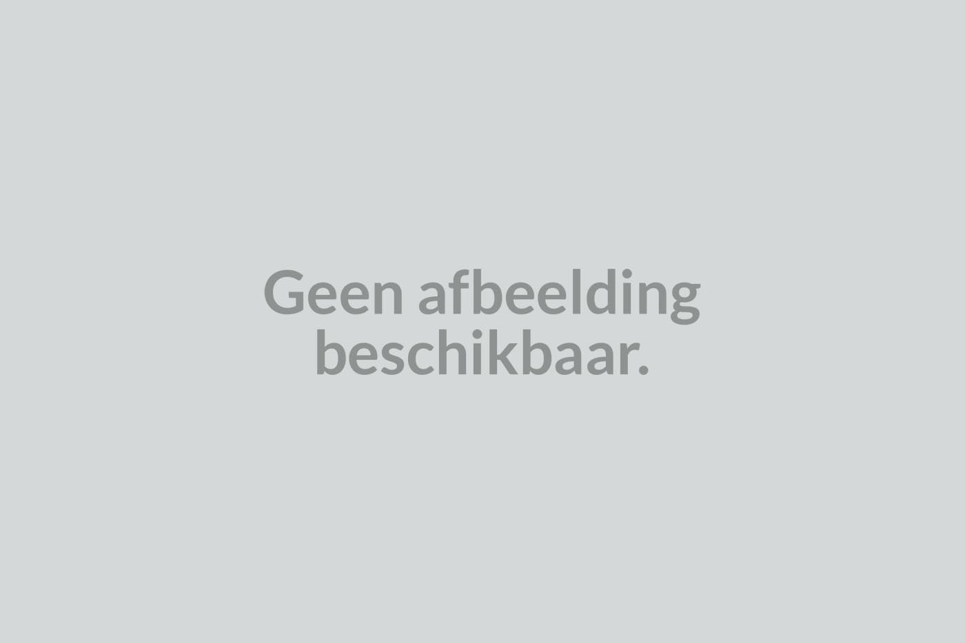DGL Plankenpakket t.b.v. enkelzijdige wand kapschuur Comfort 278,5x162 cm, kleurloos geimpregneerd Tuin Tuinverblijven  bij Houthandel Jan Sok