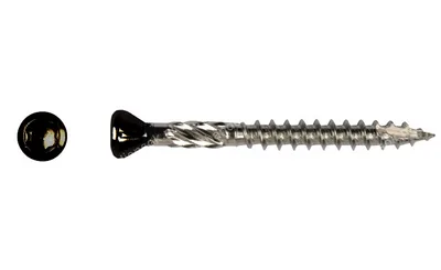 Potdekselschroef 4,0 x 40 mm Torx (T15) – Zwart RVS C2 (AISI 410), 200 stuks