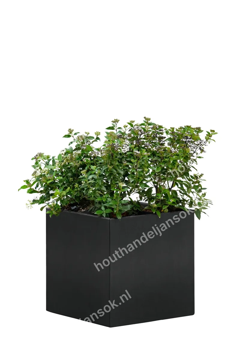 Bloembak Mohawk, zwart gepoedercoat staal 50 x 50 x 50 cm (0,50m)