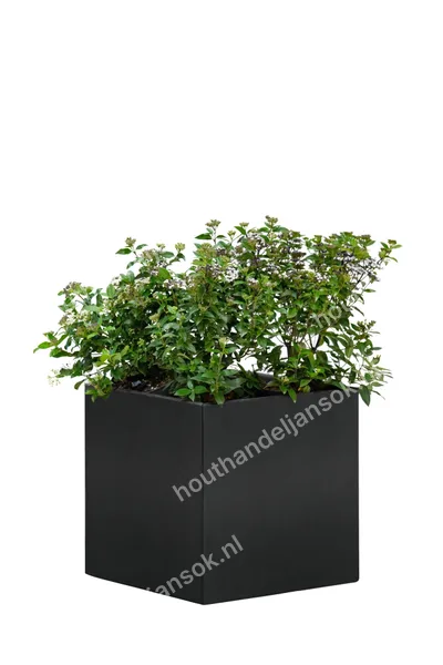 Bloembak Mohawk, zwart gepoedercoat staal 60 x 120 x 60 cm