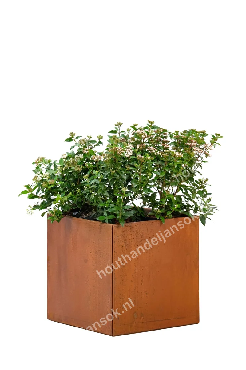 Bloembak cortenstaal Hudson 50 x 50 x 50 cm (0,50m)